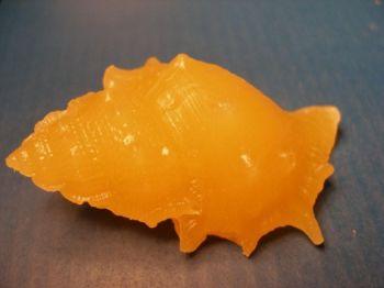 Kerzenform Giessform Muschel 3